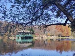 -WeLope紫金山探险公园