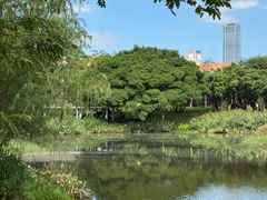-四海公园(南山区)