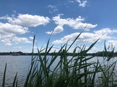 -大兴滨河森林公园