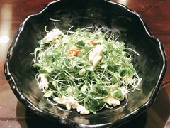 豆苗核桃仁-燕春楼(海河华鼎店)