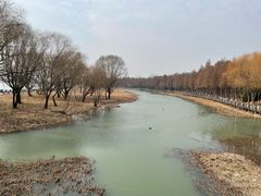 -苏州太湖湖滨国家湿地公园