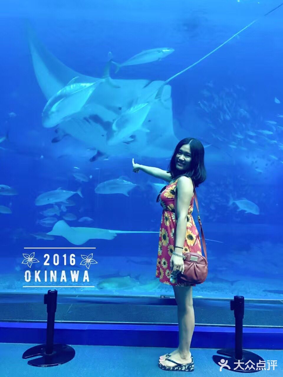 冲绳求婚之旅