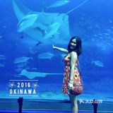 冲绳求婚之旅