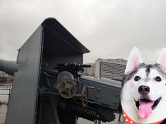 -阿芙乐尔号巡洋舰