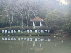 -火炉山森林公园