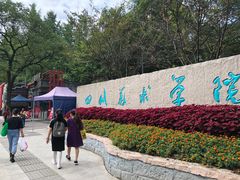 -黄桷坪涂鸦艺术街