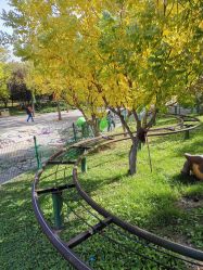 -大望京儿童游乐场