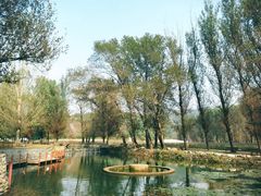 -紫海香堤香草艺术庄园