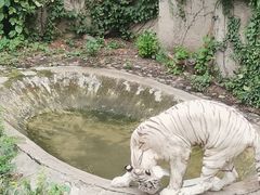 -北京动物园