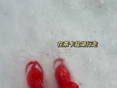 -茶卡盐湖