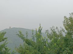 -上海佘山国家森林公园西佘山园