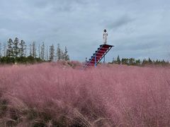 -嘉北郊野公园