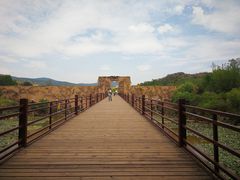 -世界恐龙谷景区