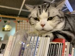 -小时光咖啡馆(开森度假森林店)