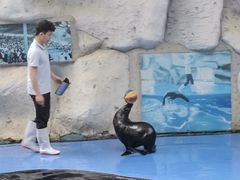 -泉州海丝野生动物世界