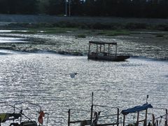 -北海金海湾红树林生态旅游区