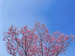 -福清灵石山国家森林公园