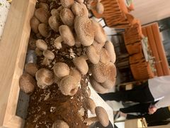 -椰子营·椰子鸡火锅(万象里店)
