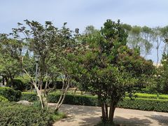-马濠公园