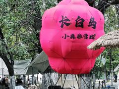 -长白岛森林公园