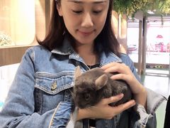 -藦茜花园宠物主题亲子互动体验馆(国顺东路店)