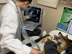 -安安宠医·臻爱宠物医院·宠保定点(营门口路分院)