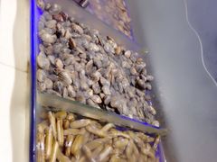 -银鲨海鲜烤肉火锅自助餐厅(五星店)