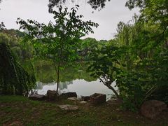 -月湖风景区