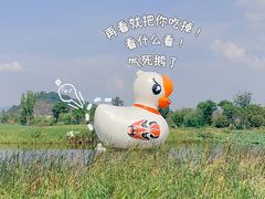 -径山花海