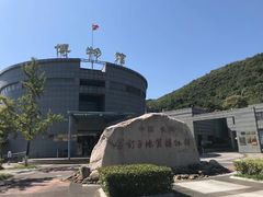 -金钉子远古世界景区