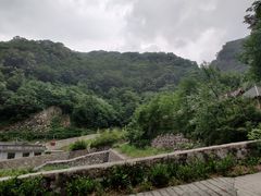 -牛背梁国家森林公园