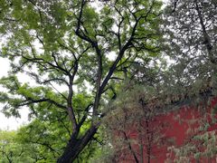 -北京市劳动人民文化宫(太庙)