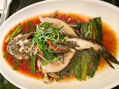 -新南华大酒店(广中店)