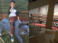 -武汉园博园(武汉自然博物馆)