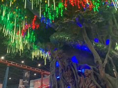 -弘阳·未来世界(弘阳广场店)