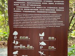 -华侨城湿地公园