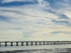 -宝安西湾红树林湿地公园