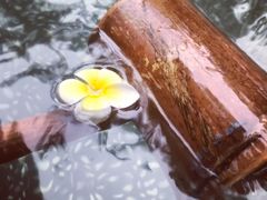 -厦门日月谷温泉渡假村