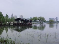 -渤公岛生态公园