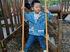 -田园东方蜜桃村的田野营地