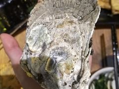 -土蚝·高压锅生蚝(百姓美食街店)