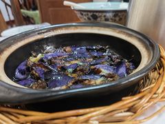 -全乐鱼馆·淳牌有机鱼直营店