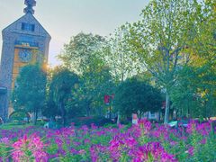 -花博汇(知音花月夜)