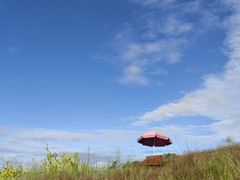 -空港花田景区