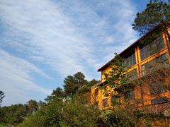 -铁山坪森林公园