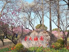 -无锡梅园公园