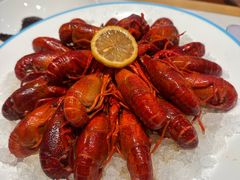 -杨氏青龙虾·羊蝎子(托乐嘉店)