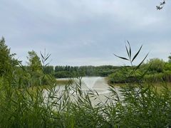 -翠湖国家城市湿地公园