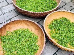 -龙井壹号·茶缘山景宴(龙井村店)