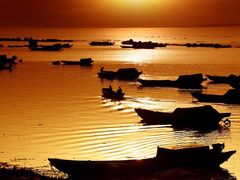 -鄱阳湖国家湿地公园